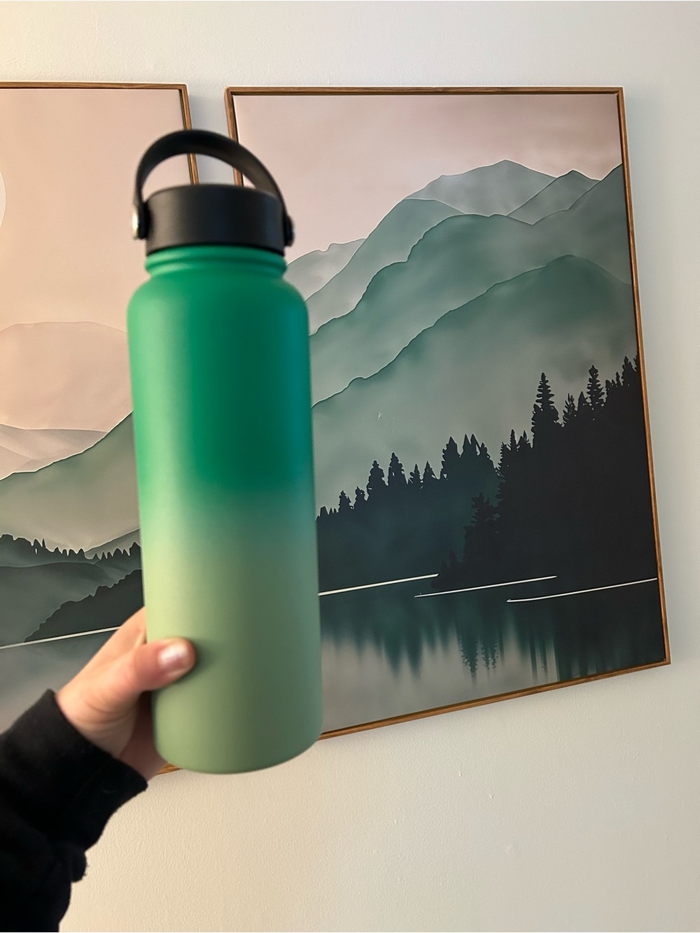 Insulated Gradient Green Water Bottle with Carry Handle